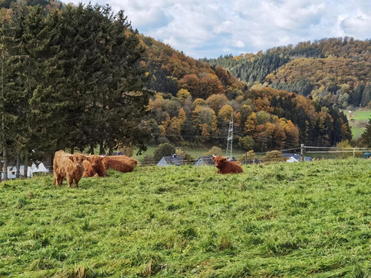 Ferienhaus Waldblick Hohenfels-Essingen Eksteriør bilde