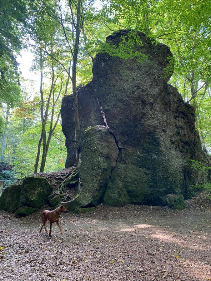 Ferienhaus Waldblick Hohenfels-Essingen Eksteriør bilde